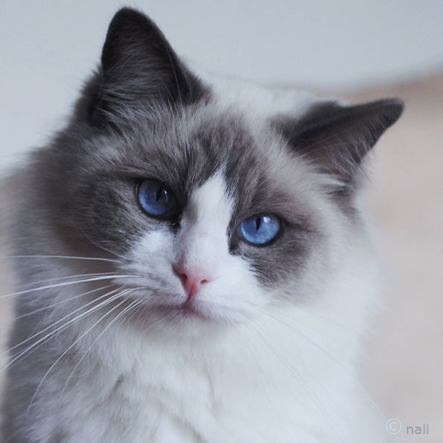 Portrait de Daria